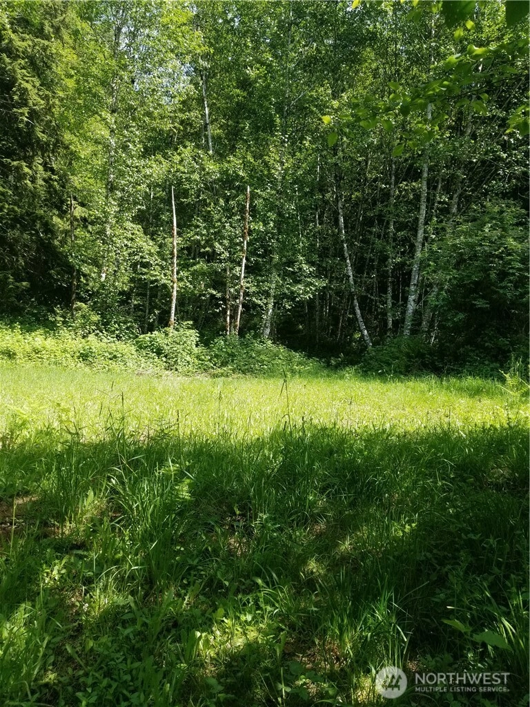 Garneys Rd Kelso WA 98626