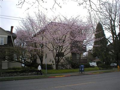 700 15th Ave E Unit 302 Unit 302 Seattle WA 98112