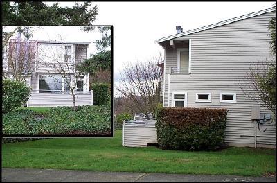 11804 NE 80th St Unit 1 Unit 1 Kirkland WA 98033