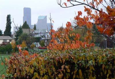 815 23rd Ave S Unit B3 Unit B3 Seattle WA 98144