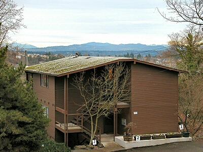 1706 16th Ave S Unit A1 Unit A1 Seattle WA 98144