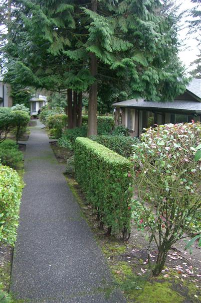 513 S 321st St Unit 5D Unit 5D Federal Way WA 98003