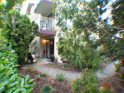 4226 Dayton Ave N Unit 101 Unit 101 Seattle WA 98103
