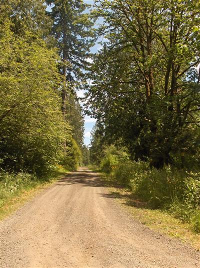 8010 161st St NW Unit  Burley WA 98329