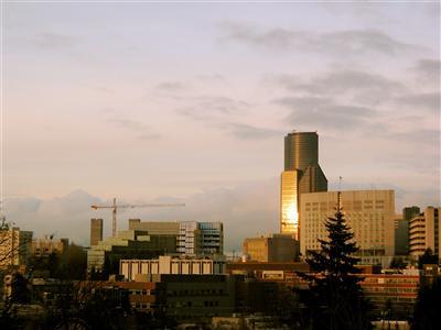 1111 15th Ave Unit 7 Unit 7 Seattle WA 98122