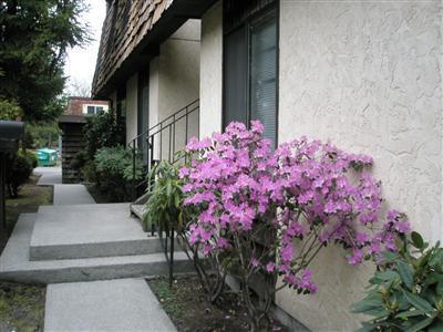 8627 25th Ave SW Seattle WA 98116