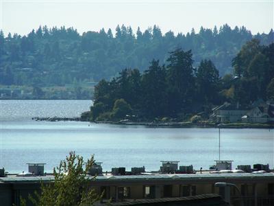 9922 NE 116th St Unit E-311 Unit E-311 Kirkland WA 98034