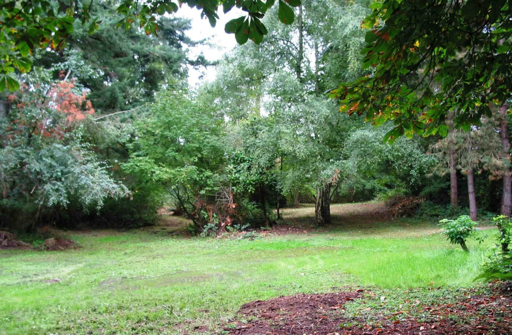 14522 88th Ave NE Kenmore WA 98028