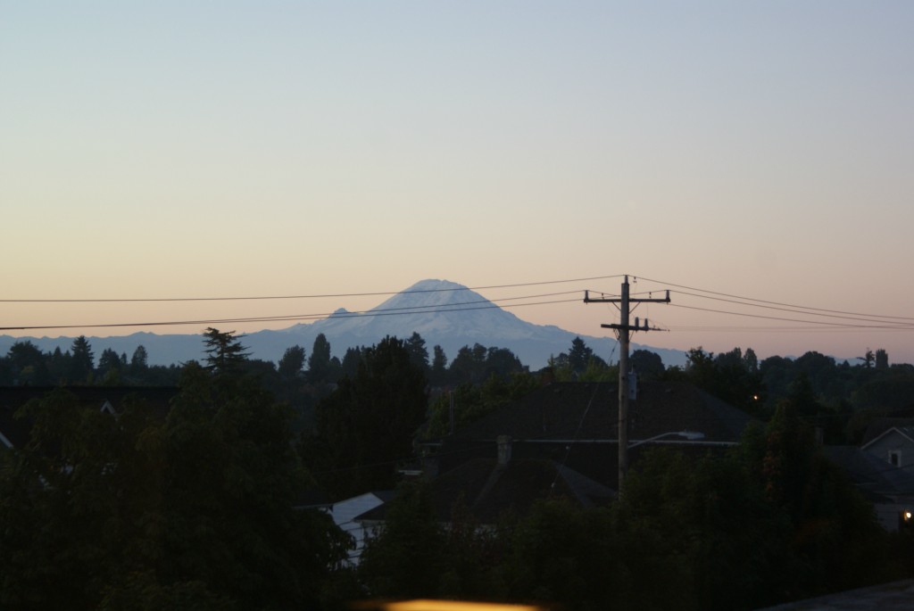 1725 24th Ave Unit 303 Unit 303 Seattle WA 98122