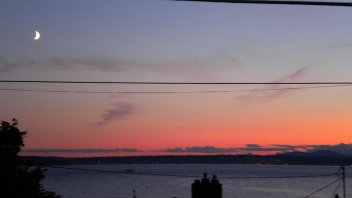 3728 Beach Dr SW Unit 5 Unit 5 Seattle WA 98116