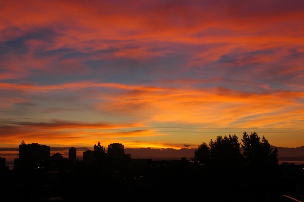 1815 14th Ave Unit 8 Unit 8 Seattle WA 98122