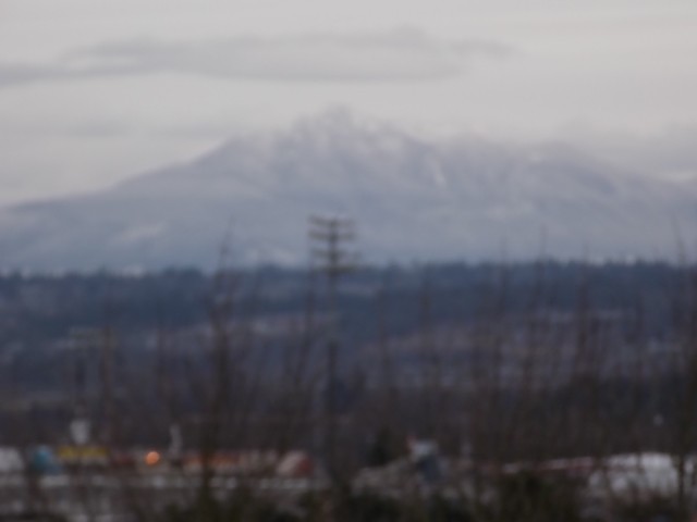 3911 Wetmore Ave Unit B5 Unit B5 Everett WA 98201