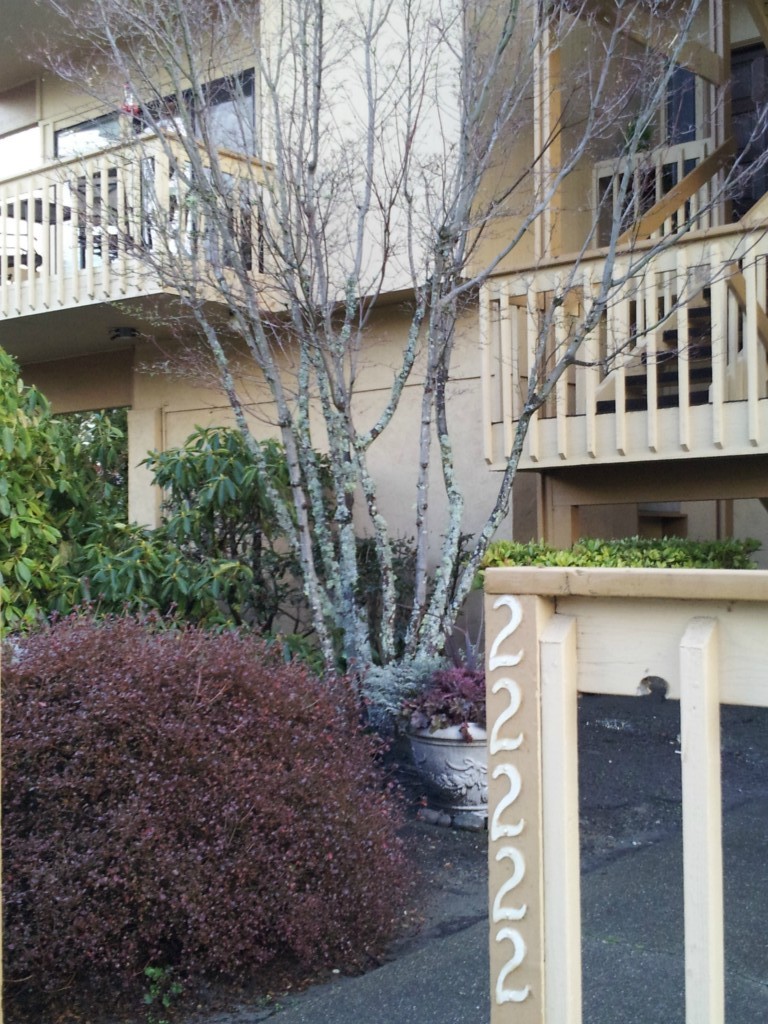 22222 6th Ave S Unit 3 Unit 3 Des Moines WA 98198