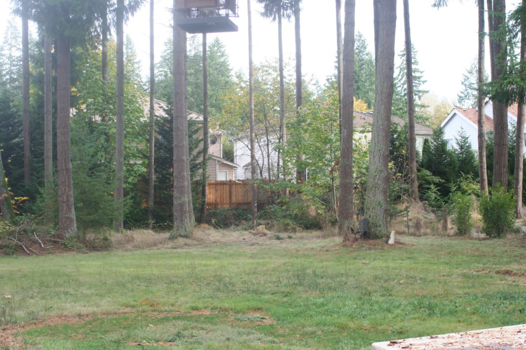 528 233rd Ave NE Unit  Sammamish WA 98074