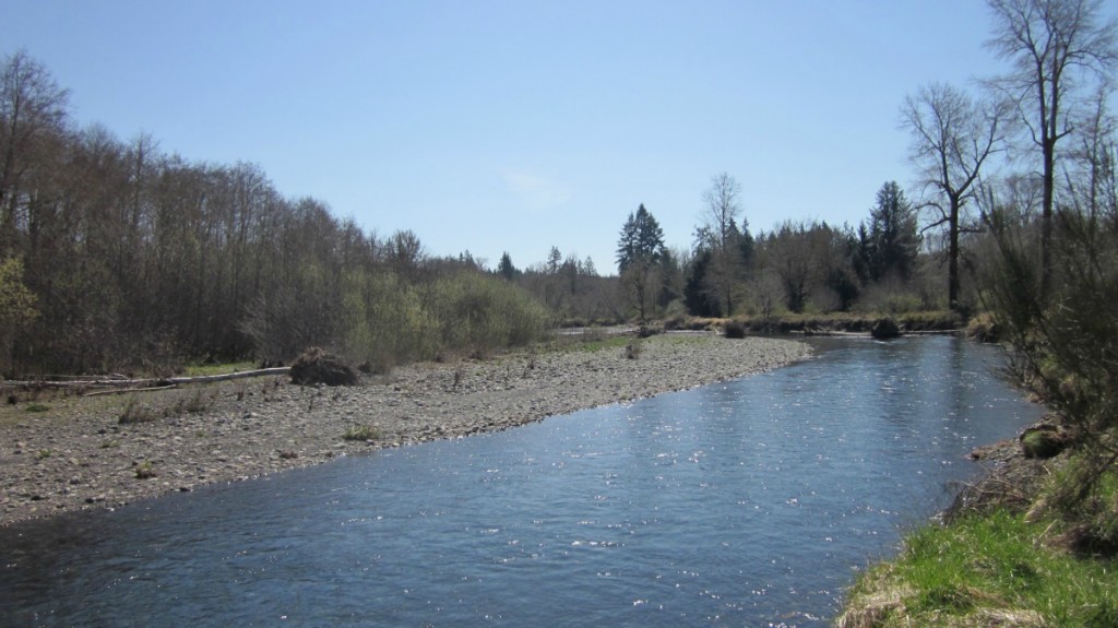 0 XXX Cougar Smith Rd WA 98541 Brady WA 98541