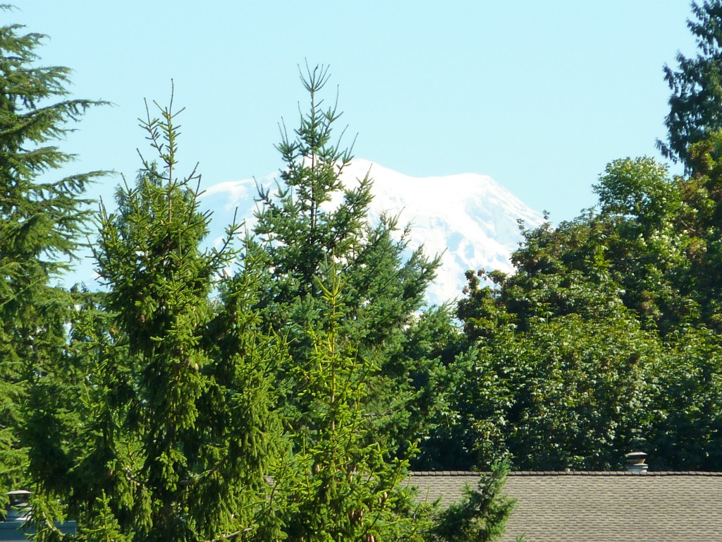 2144 7th Ave SW Unit 2144 Unit 2144 Puyallup WA 98371