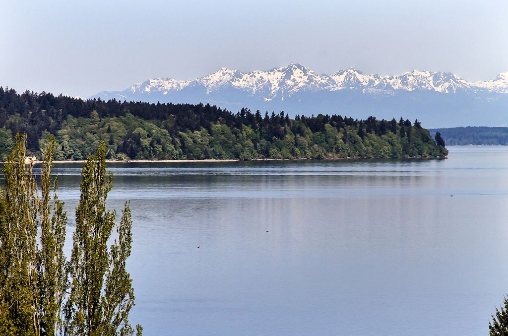 101 Chinook Ln Unit D Unit D Steilacoom WA 98388