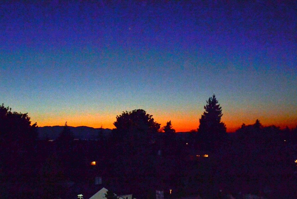 135 N 105th St Unit 304 Unit 304 Seattle WA 98133