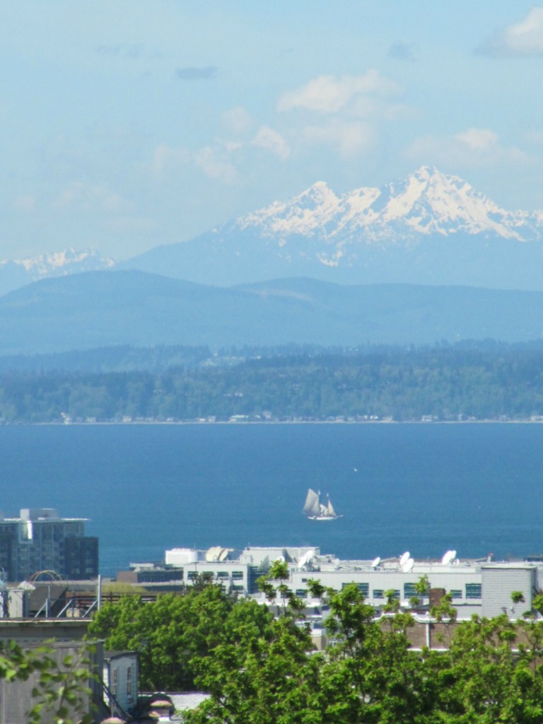 414 13th Ave E Unit PH1 Unit PH1 Seattle WA 98102