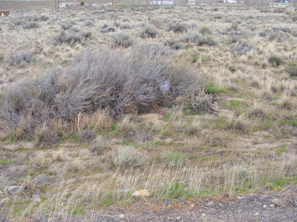 0 NNA Main St SW Unit  Beverly WA 99321