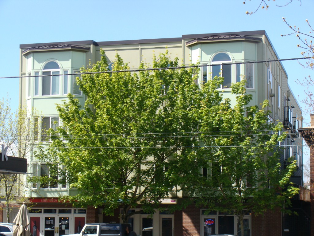 1629 Queen Anne Ave N Unit 302 Unit 302 Seattle WA 98109
