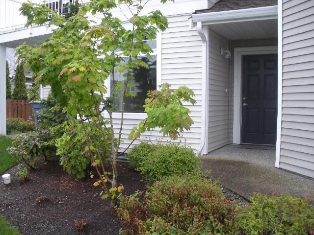 6306 Isaac Ave SE Unit A Unit A Auburn WA 98092