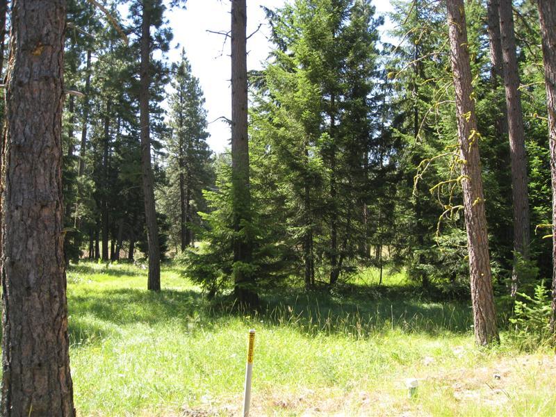 961 Larkspur Loop Cle Elum WA 98922