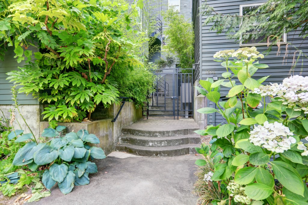 1501 E Spring St Unit 4 Unit 4 Seattle WA 98122