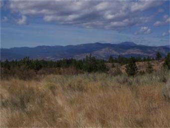 0 TBD Madd Mtn Rd Okanogan WA 98840