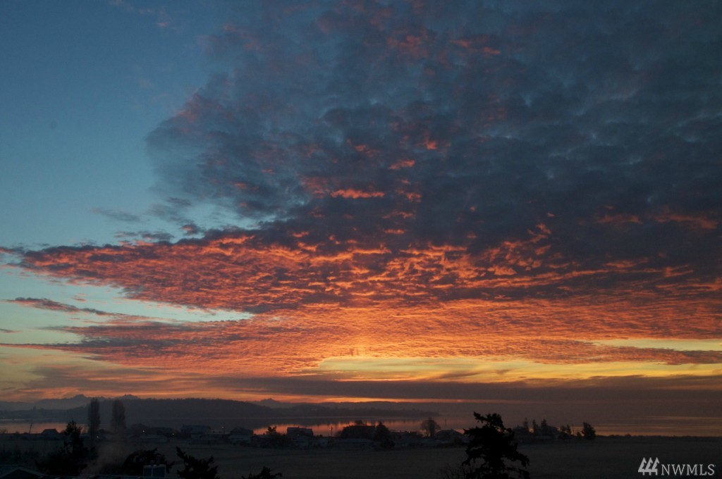 1850 SW Scenic Heights St Unit B202 Unit B202 Oak Harbor WA 98277